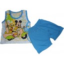 Комплект для мальчика футболка из набивного рисунка и однотонные шорты